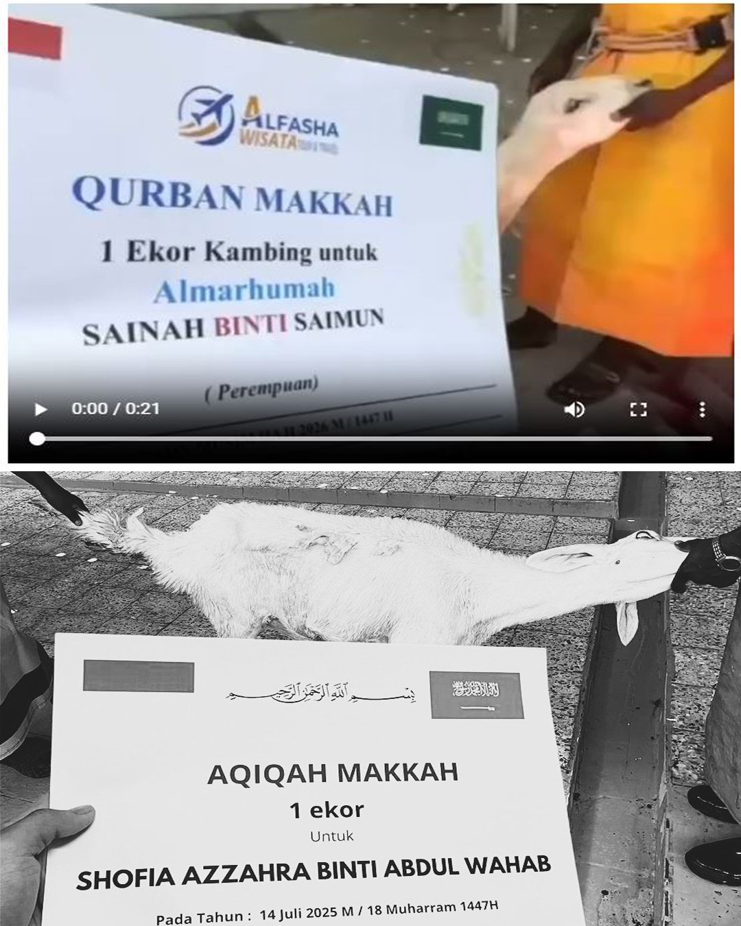 JASA BADAL HAJI PLUS QURBAN